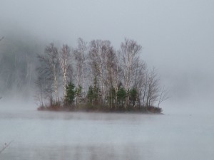 Maine Island In Foggy, Mist.