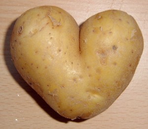 Maine Potate Heart Shaped Special