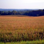 Maine Land Photo