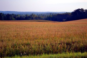 Maine Land Photo