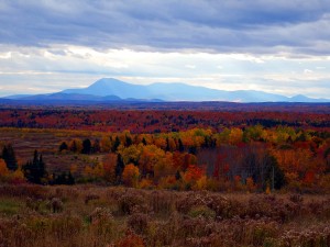 Maine Is Wide Open Space, Colors.