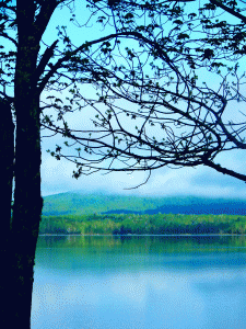 Maine Lake Photo