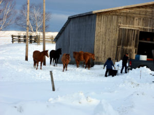 maine winter barn scene photo