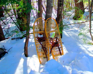 bear paw snow shoes me photo