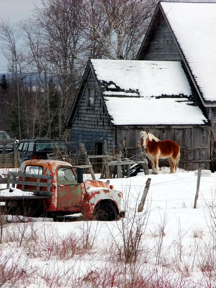 Homesteading, How To Do It In Maine. MeInMaine Blog