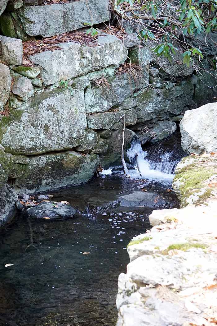 stream water falls aboretum