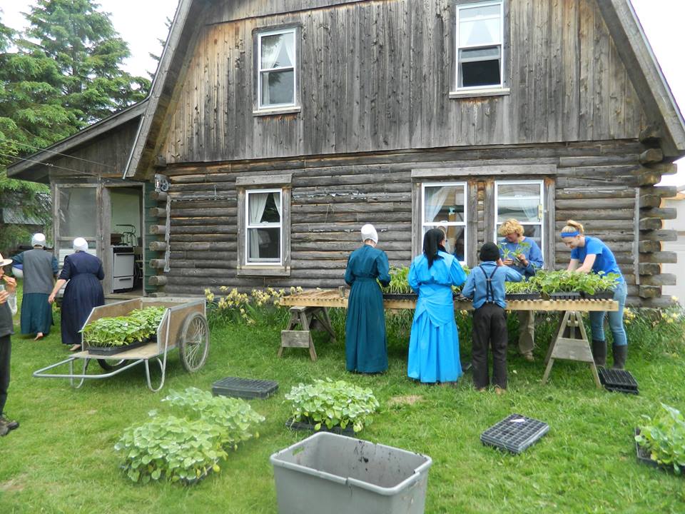 amish farmers maine