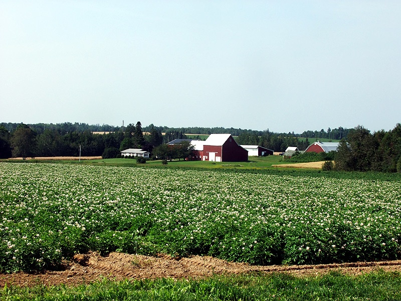 farm barn buildings in maine