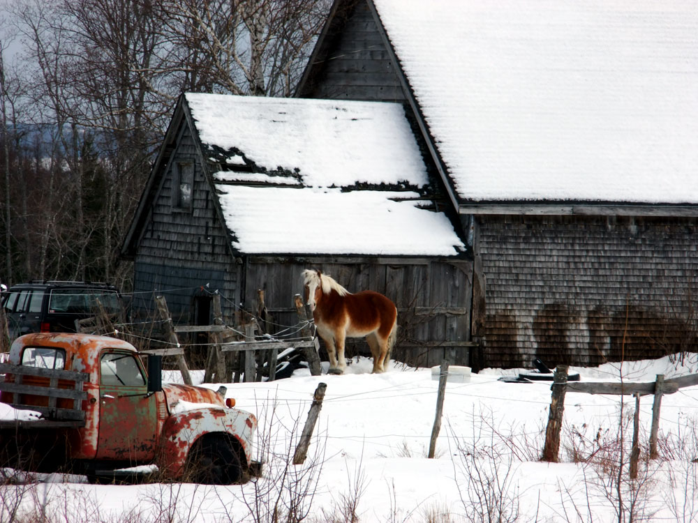 old farm barn in maine