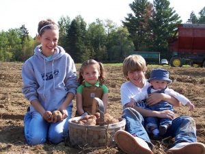 farm crews in potato field