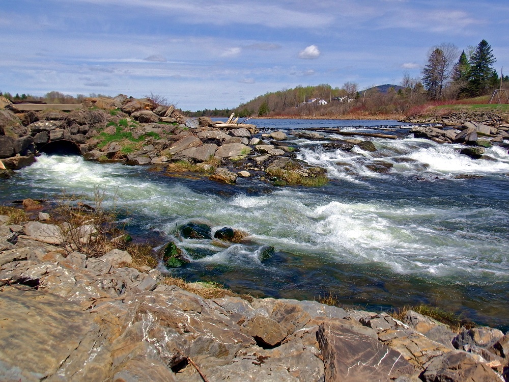 Maine fishing stream