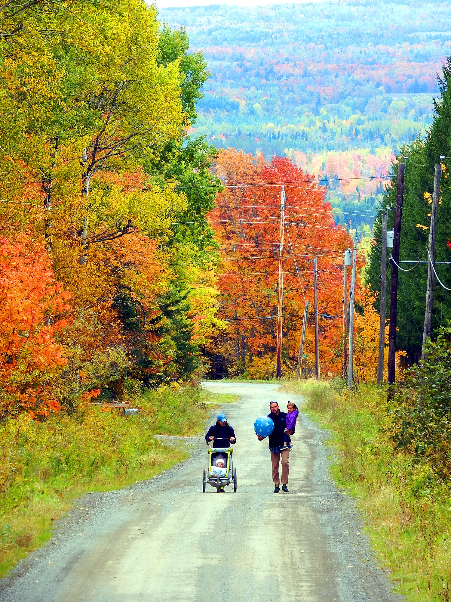 local maine news