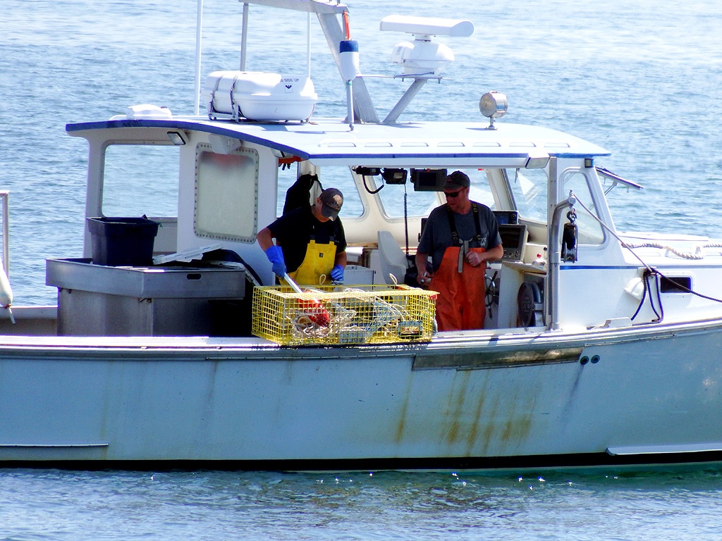 maine news