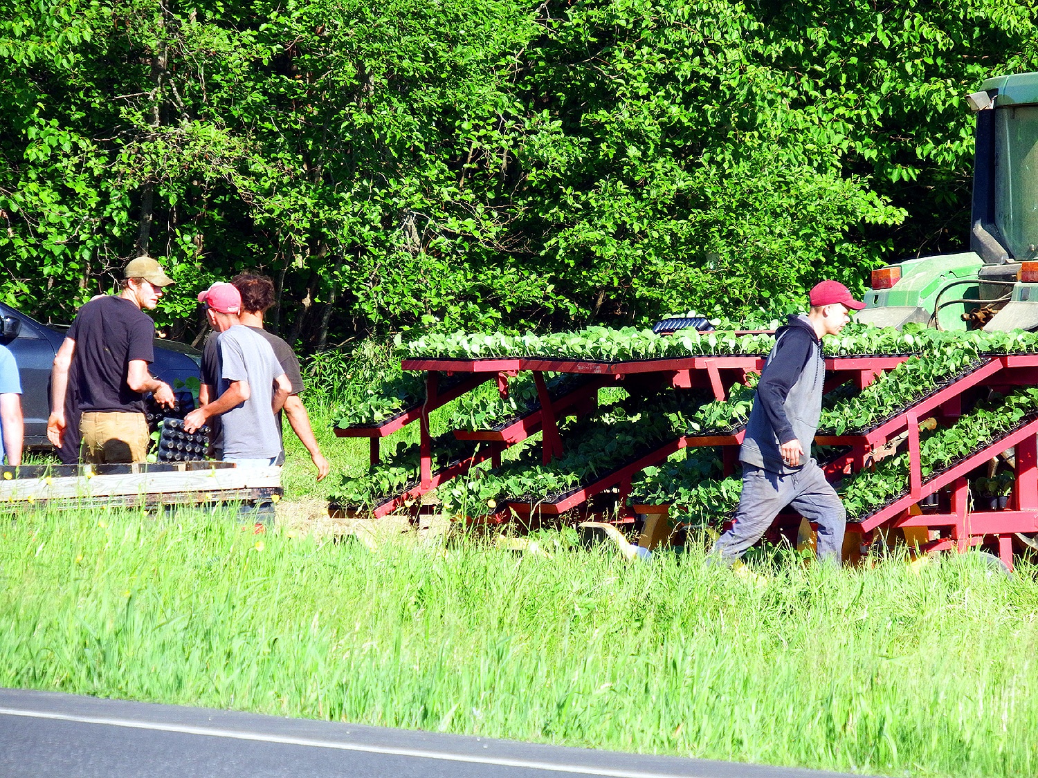 farming in maine