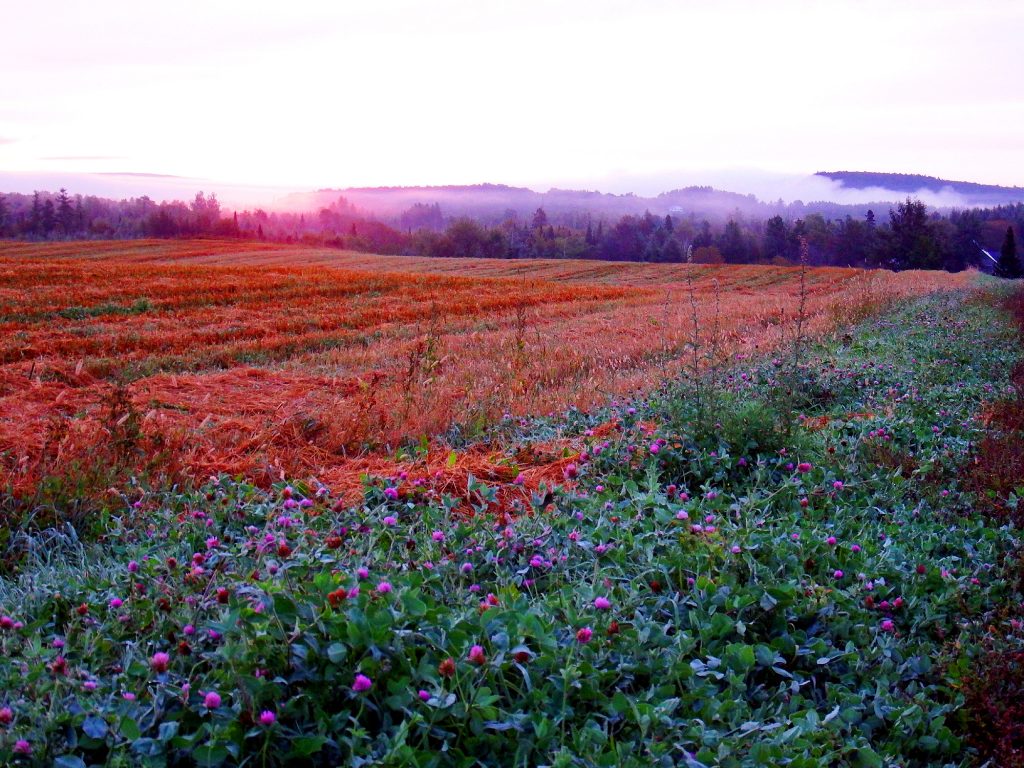 Farming In Maine MeInMaine Blog