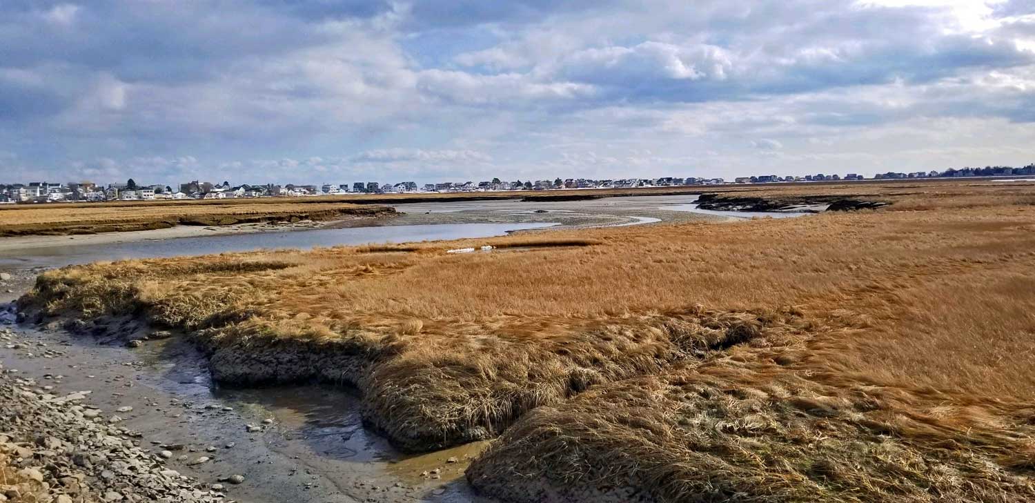 mile road wells beach maine