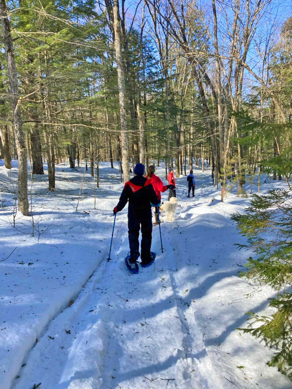 hiking snowshoe trails