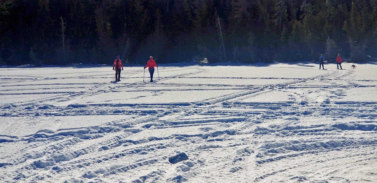 snowshoeing maine trails