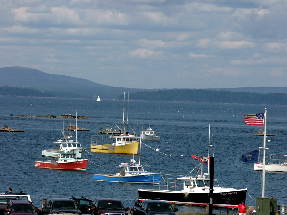 areas of maine real estate