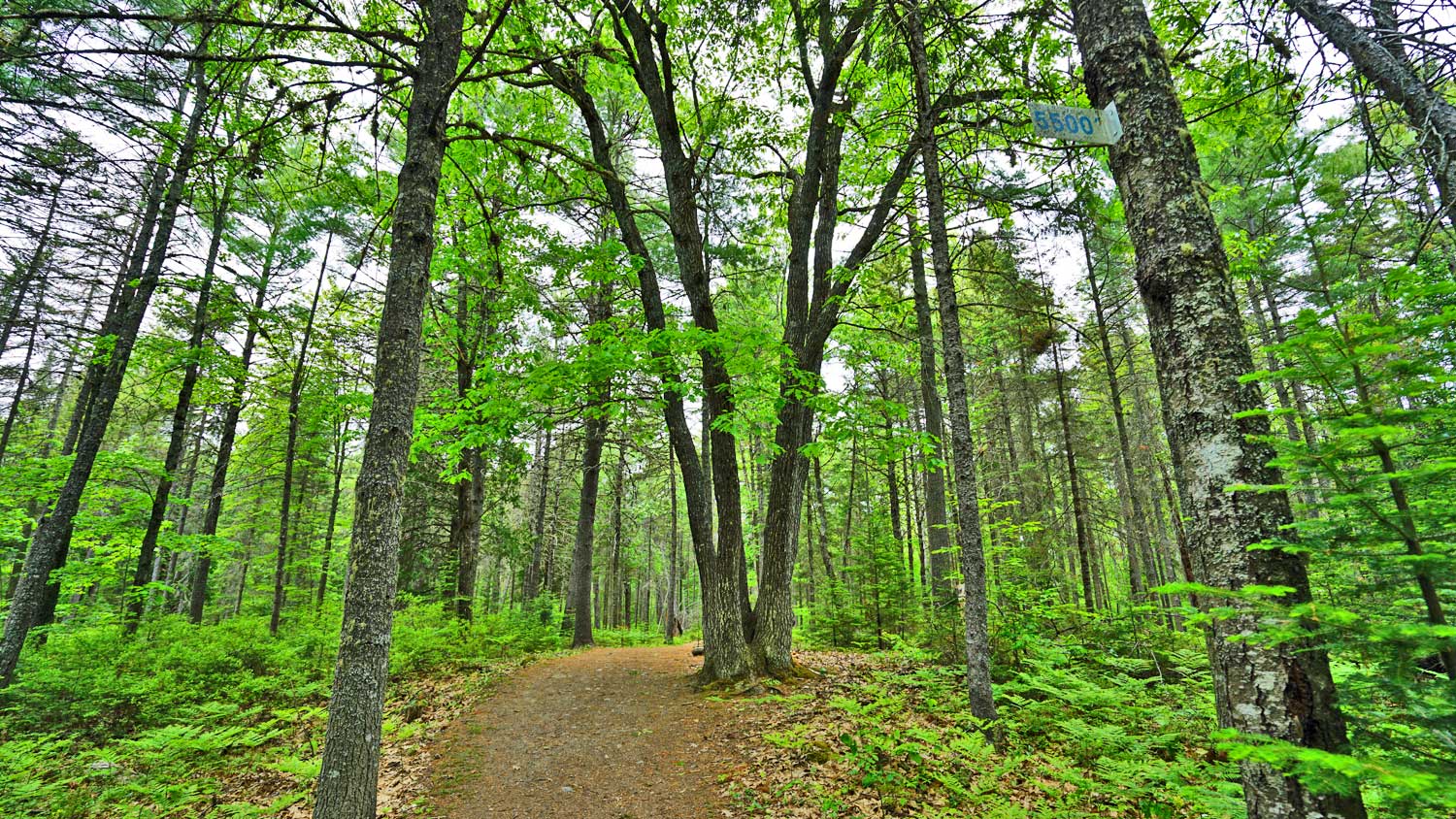 trail hikes in maine