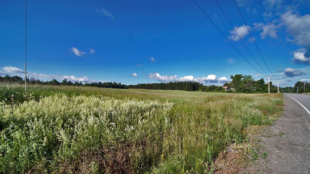 maine farm land