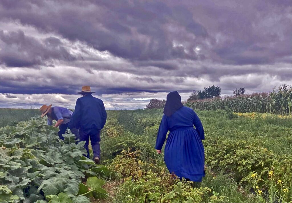 Amish Lifestyle In Maine MeInMaine Blog