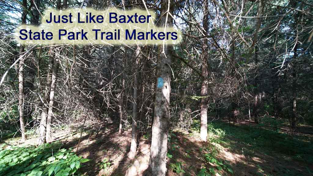 baxter park blue trail markers