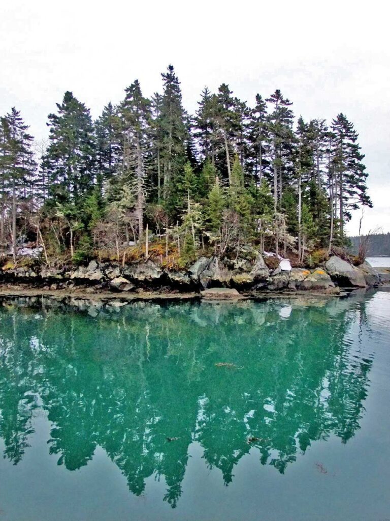maine island jewels