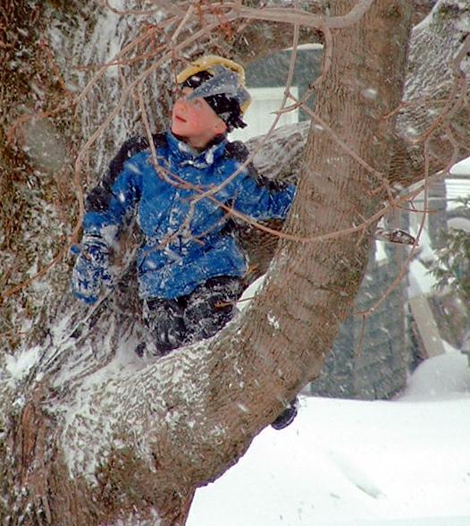 Maine Winter Weather, First Snow Is A Time For Defending The Back Yard. We're Under Attack, Retreat, More Pre Made Snowballs Over Here Stat.