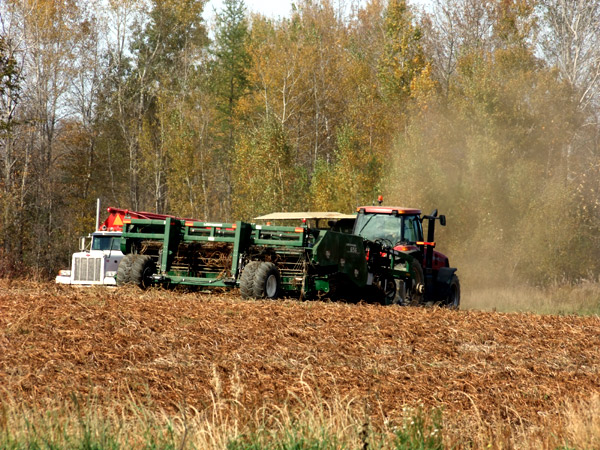 Maine Farm Potato Harvest Underway. Clear Blue Sky Sunny Days Prayed For During Maine Potato Harvest
