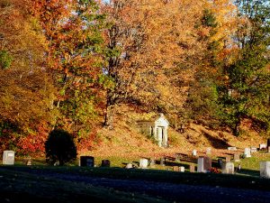 Maine Fall Colors