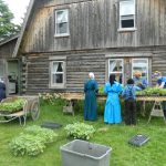 Cheap Land In Maine Prices, Less Or No Layers Of Zoning Building Codes.