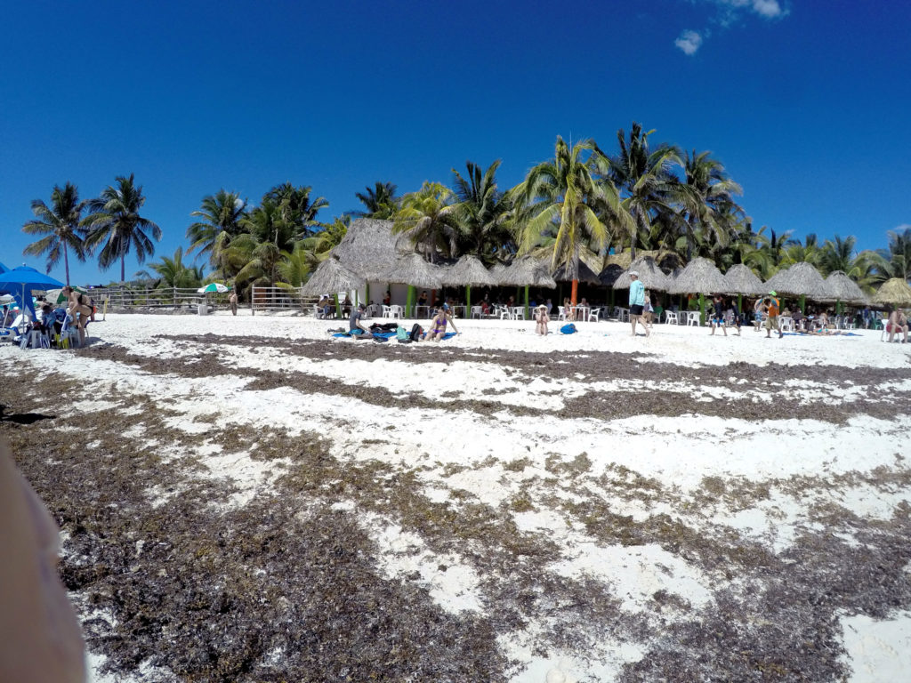 Maine Sea Cruise Vacations.