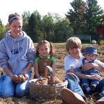 Potato picking in Maine