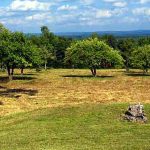 Land In Maine, What’s The Big Attraction?