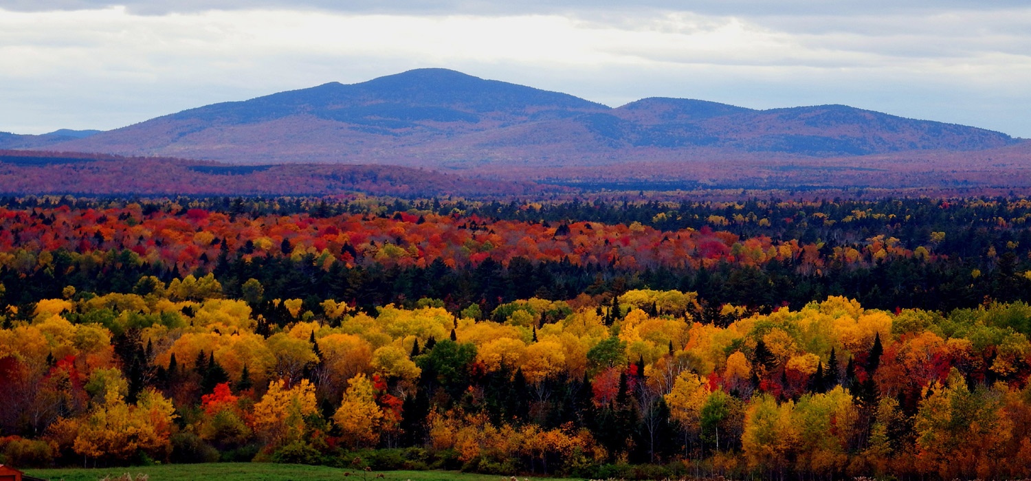 picnics picking potatoes with maine fall colors scenery