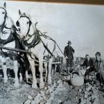 Farming In Maine