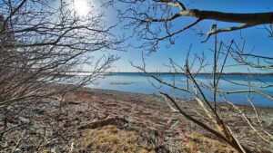 maine coast properties