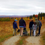 Picnics in Maine