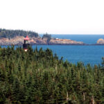 What’s Learned Living In Rural ME That Helps Later On ?
