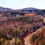 Relocating To Maine, Making The Move