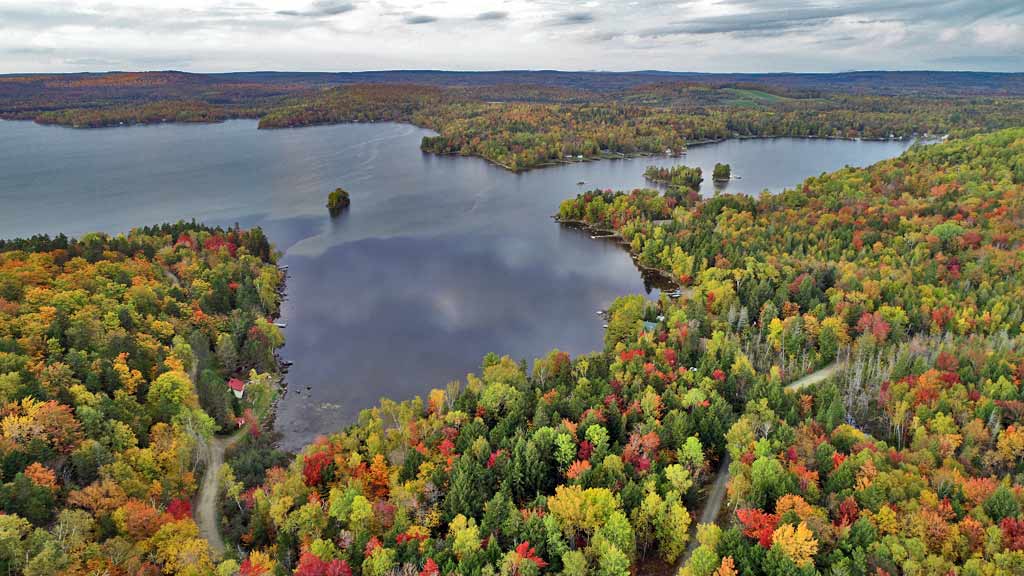 wooded land near a lake fall foliage in maine