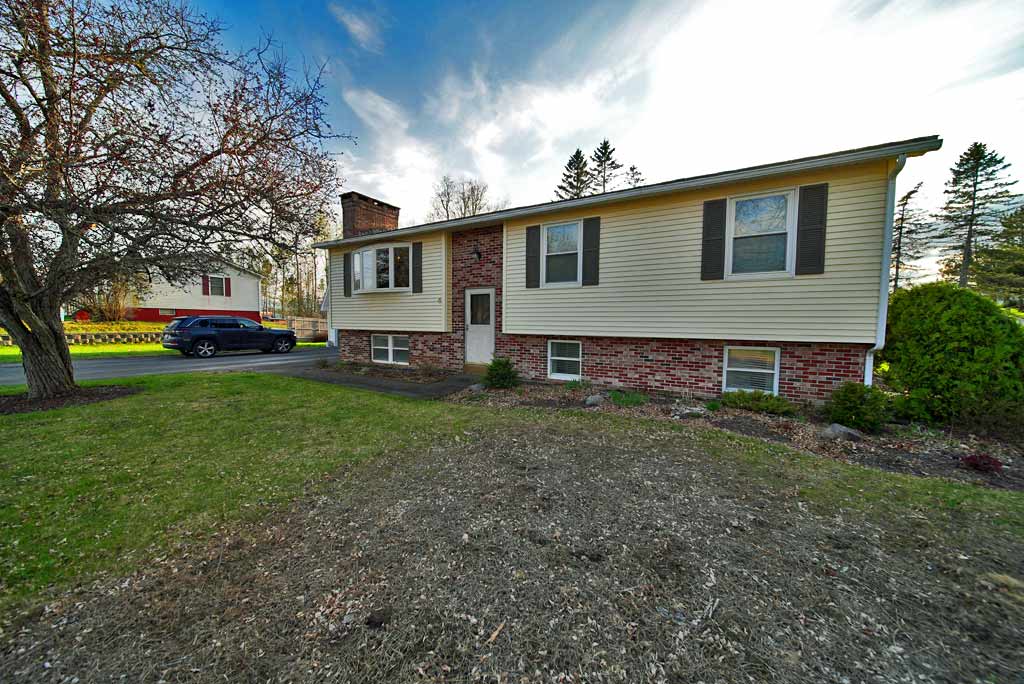 grub damaged maine lawn