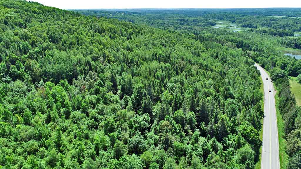 land in maine