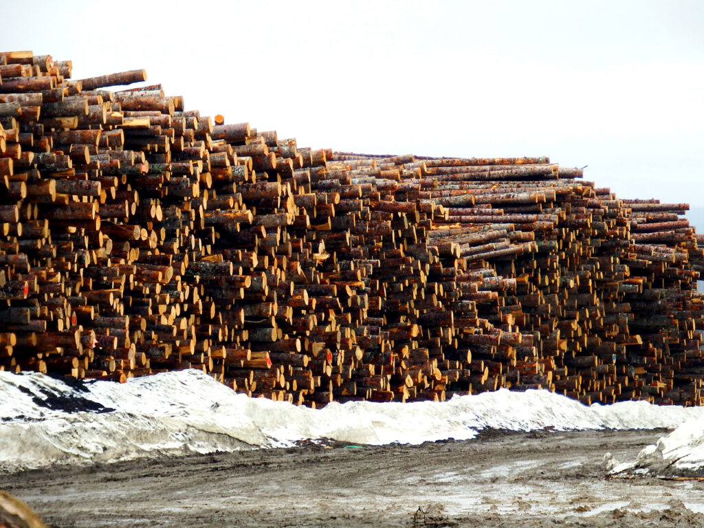 lumber for making studs boards