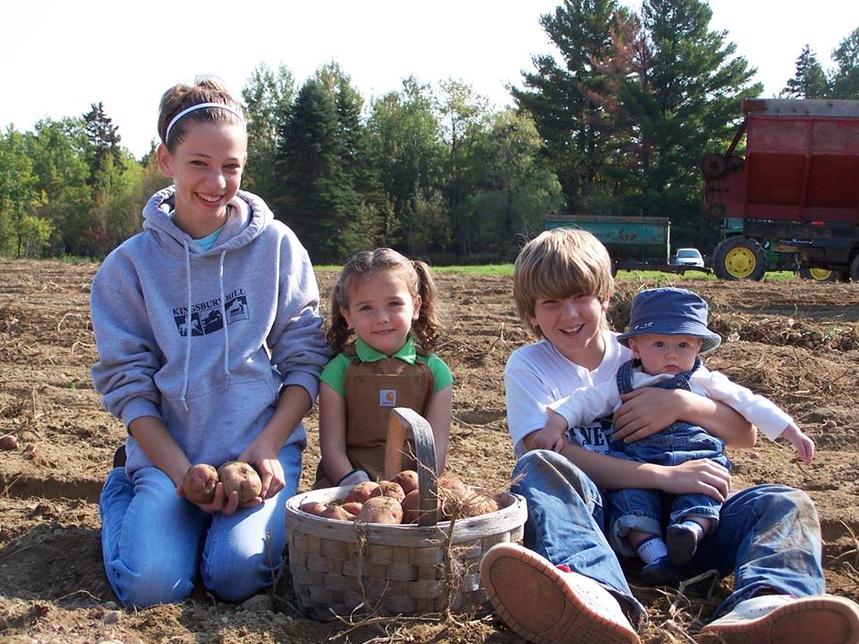 kids picking maine potatoes