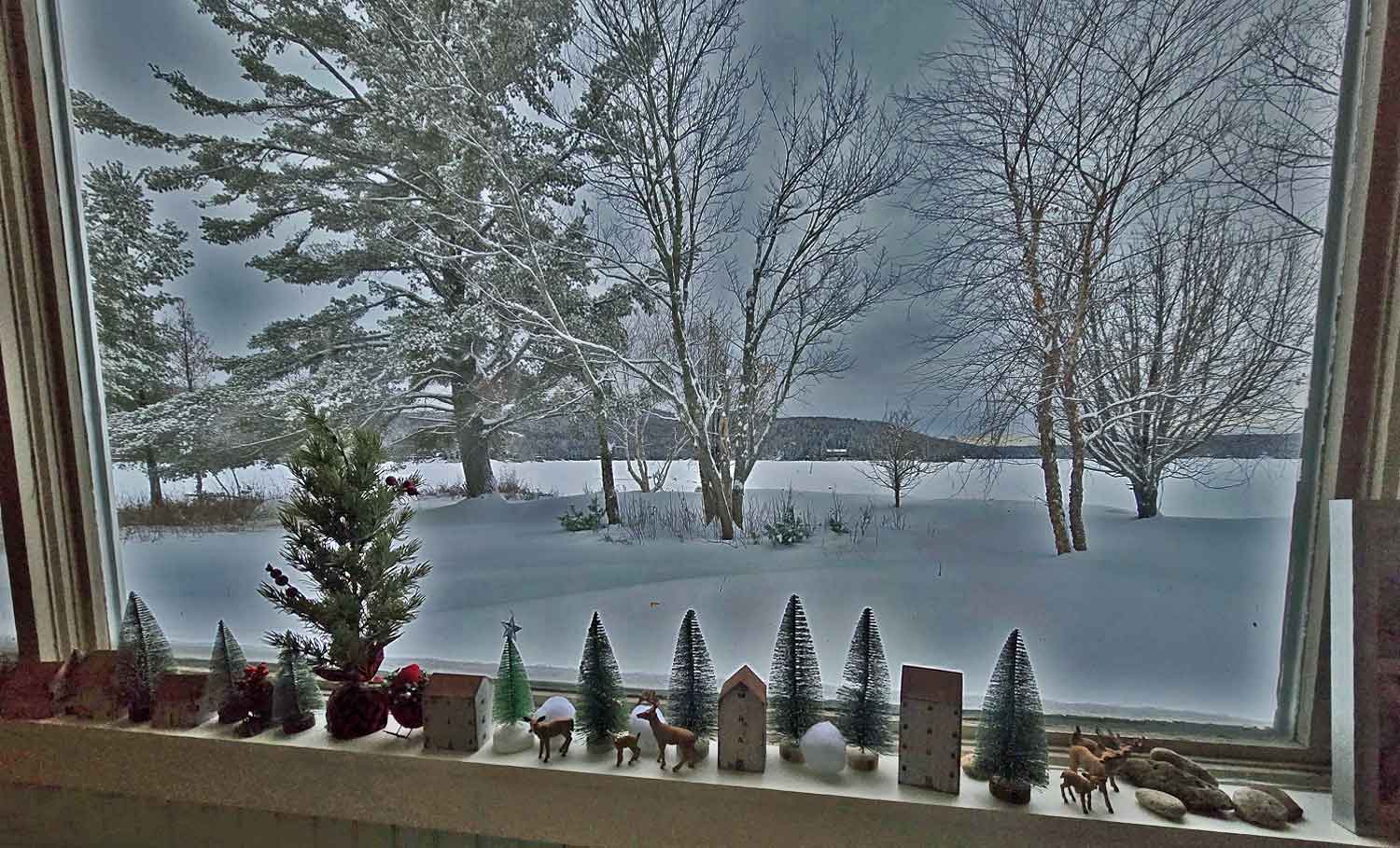 maine winter snow scene