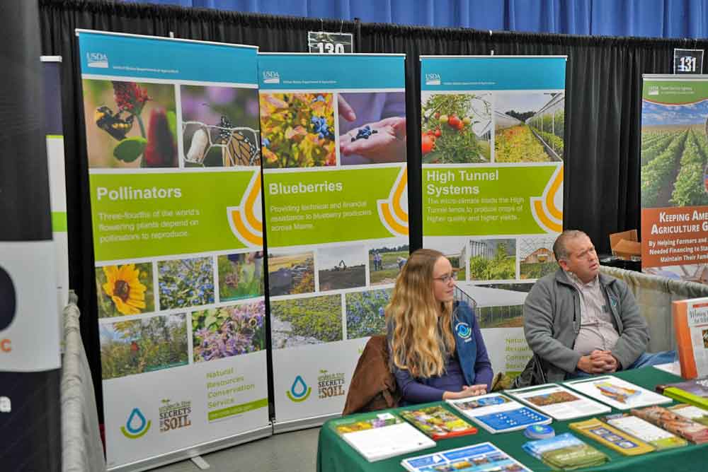 maine wild blueberries
