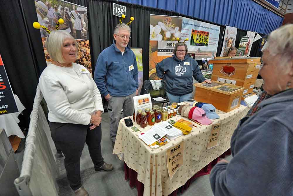 wild honey production in maine