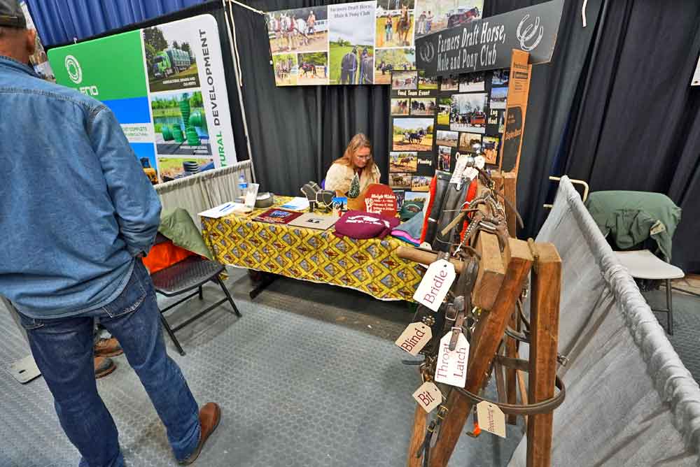 draft horses mules ponies